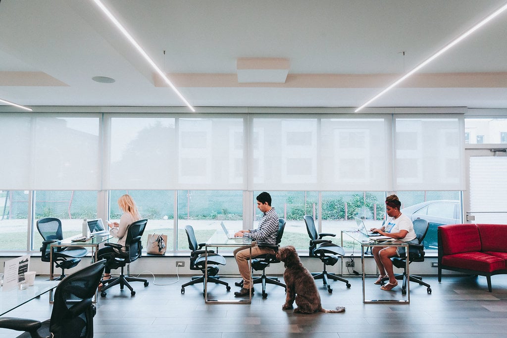 $95 Flexible Workspace
